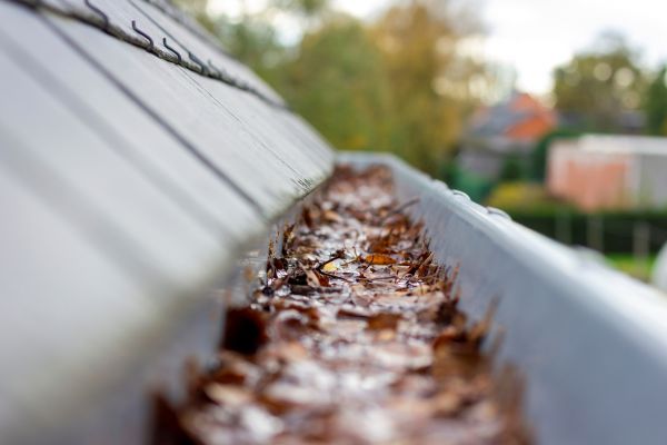 Commercial Gutter Cleaning in East Stroudsburg