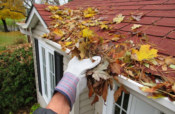Rain Gutter Cleaning Service in East Stroudsburg