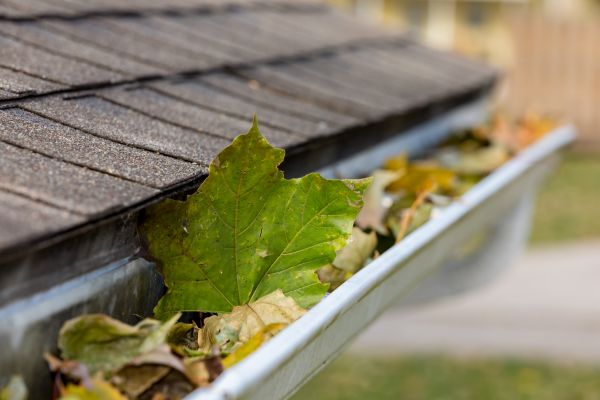 Commercial Downspout Cleaning in East Stroudsburg