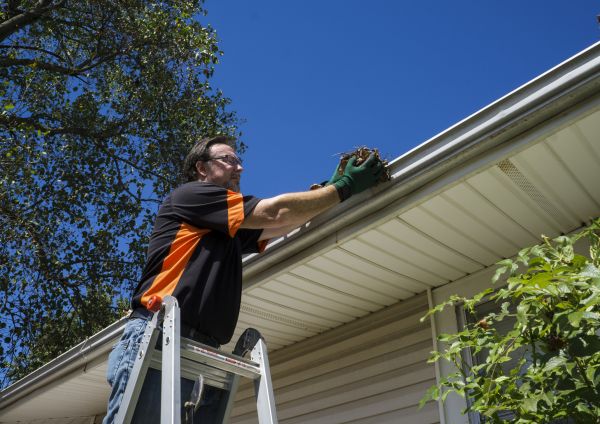 Eavestrough Clearing in East Stroudsburg