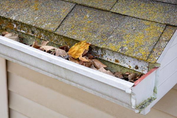 Garage Gutter Cleaning in East Stroudsburg