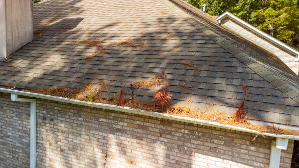 Gutter Pine Needle Removal in East Stroudsburg